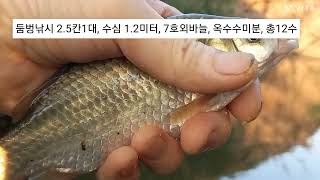 한여름 월척도전 세번째, 저녁타임 입질 폭발 / 2023. 8. 5. 17:40~20:40, 총 12수