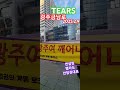 tears 색소폰연주 전라도 광주금남로 광주시민 깨어나라 집회 찐팬 응원전 벨라도 안정권 대표 색소폰연주 일타강사 전한길 단디해라 윤석열대통령 우리가지킨다 2025년 2월9일 3