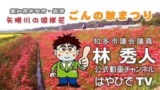 ごんの秋まつり　愛知県半田市・岩滑　矢勝川の彼岸花　童話作家・新美南吉とごんぎつねの故郷