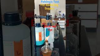 Fehling Test | Identification Test for reducing sugars #chemistry #electic #biochemistry
