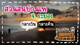 สวนสนบ้านเพ จ.ระยอง | ชีวิตที่หาดทราย กลางวันและกลางคืน | Go with me ไปกับหิน