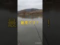 2023.2.22思ったより寒く無く釣日和です！宇治川ブラックバス釣り！ fishing ルアーフィッシング