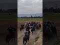 Бузкаши улок dushanbe tajikistan buzkashi kokpar