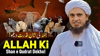 ALLAH Ki Shan e Qudrat Dekho! | Mufti Tariq Masood