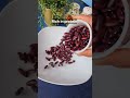 rajma kidney beans health benefits shortsfeed shorts food rajma kidneybeans