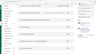 Mid Term Grades using Canvas Submit Grades