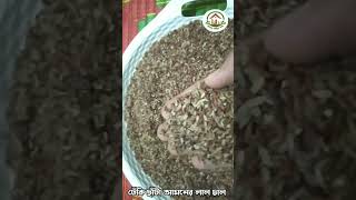 গাঞ্জিয়া আমন ধানের চিকন লাল চাল