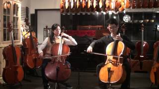 VIRTUOSO VIOLINS ヴァイオリン、ヴィオラ、チェロ、楽弓の専門店