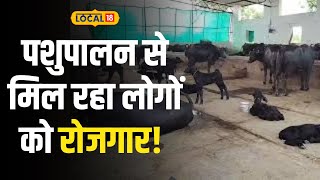 Animal Husbandry:  पशुपालन से हो रही लाखों रुपए महीने की कमाई, लोगों दिया है रोजगार #Local18