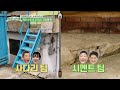 보수할 곳을 스스로 찾아보는 일꾼들 축담 보수 u0026 사다리 고정해 줘~ 일꾼의 탄생 kbs 230524 방송