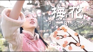 Plum Blossom Recipes | 梅花酥/梅花糕/梅花茶 | 摘下春天的第一束梅花！| Diao yi shi