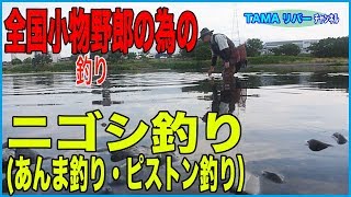 【全国小物釣り野郎】ニゴシ釣り（アンマ釣り・ピストン釣り）【釣り漫画有り】