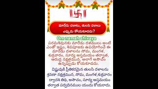 మారేడు తులసి వారం లో ఎరోజు కోయాలి ఎ సమయం లో కోయాలి#maredu#tulasi#shiva#Vishnu Murti#viral video