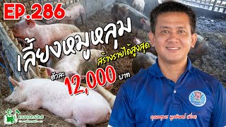 เลี้ยงหมูหลุม และฉีดน้ำหมักผลไม้กำจัดกลิ่น สร้างรายได้ 12,000 บาท/ตัว l เกษตรกรไทย สร้างรายได้ Ep286