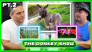 The Donkey Show Part 2 | Matthew Cox and Johnny Walker | Matthew Cox Clips