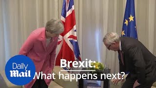 Brexit: What will happen next with just four weeks to go?