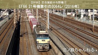 【EF66】定点撮影＠与野編①　EF66-21号機牽引の3064レ (2016年11時26分)