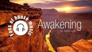 Zoltan Laki-Awakening (original)