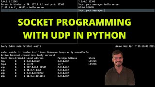 Socket Programming with UDP in Python | Computer Networking Tutorial | DevOps/SRE Interview Question
