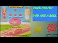 ನಾನು ಯಾರು you are a soul ಸ್ವ ರಹಸ್ಯ ಆತ್ಮ ಚಿಂತನ ಸ್ವಯಂನ ಪ್ರಯಾಣ ಚೈತನ್ಯಪ್ರಯಾಣಮಾಡಿ