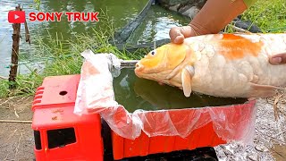 MOBIL TRUK MUAT IKAN KOI RAKSASA, MOBIL MAINAN, MOBIL OLENG