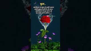 🌹#Shorts Gulab Shayarl Whatsapp/ 7February Status /🥀🌷 गुलाब शायरी स्टेटस / Rose day shayari /🌹💐