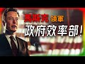 【Tesla每日快訊】 川普與馬斯克聯手改革！政府效率部計劃曝光🔥DOGE/Optimus/Powerwall/robotaxi（2024/11/13-1）