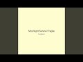 Moonlight Serene Fragile