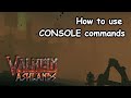 Valheim Ashlands: Using Console Commands & Cheats