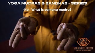 What is samana mudra?  Shailendra Singh Negi, Vedic Yoga Centre