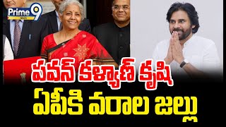 పవన్ కళ్యాణ్ కృషి ఏపీకి వరాల జల్లు | Parliament Central Budget | Prime9 News