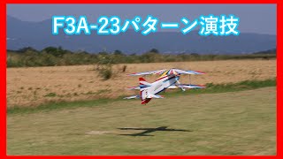 F3A P23演技 NKFC A木氏