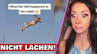 Die NICHT LACHEN Challenge!