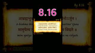 👆 BG 8.16 | Bhagavad Gita 8.16 | Chapter 8.16 | Shloka 8.16 | Text 8.16 | Verse 8.16 #shorts