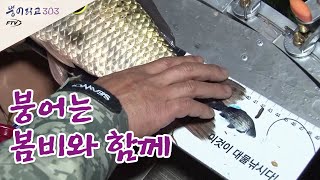 [다시 보기] FTV 붕어학교 303 - 붕어는 봄비와 함께