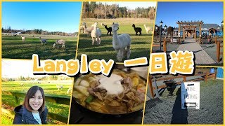 【溫哥華時間】Langley 一天遊｜尋找草尼馬之路｜夏天採莓冬天試酒｜Boiling Point 一人一鍋｜BonTime