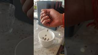 #sort #viral #How to make a perfect cappuccino??  Let's see ☕☕