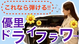 【ピアノ】ドライフラワー╱優里 初心者さん向けレッスン動画