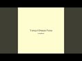 Tranquil Breeze Pulse