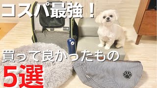 【コスパ最強】犬用グッズで買ってよかったもの5選【マルチーズ×ペキニーズ】