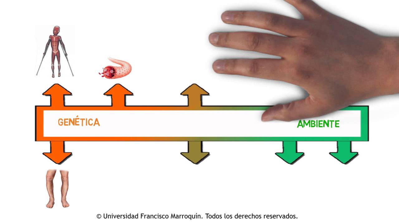 Herencia Multifactorial - YouTube