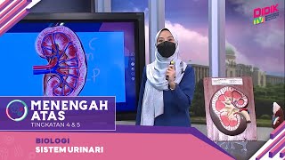 Menengah Atas (Ting. 4 - 5) | Biologi - Sistem Urinari [R]