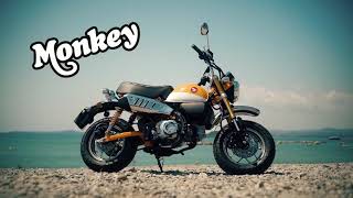 SLUK | Monkey Magic? 2018 Honda Monkey Bike