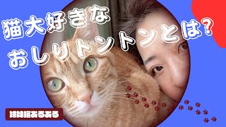 猫大好きなおしりトントンとは?