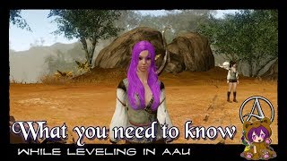 ArcheAge Unchained - What you need to know while leveling