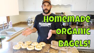 Organic BAGELS from SCRATCH!  Never Buy Store Bought Bagels Again!