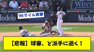 【悲報】球審、ど派手に逝く！【なんJ反応】