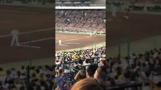 鳥谷敬阪神タイガース最終打席