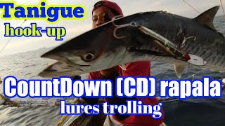 CountDown(CD) rapala trolling lures catch Tanigue- Capizhers#76