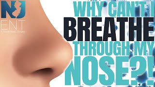 Why Can't I Breathe Through My Nose | We Nose Noses